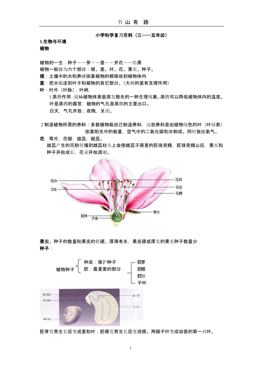 教科版小学科学毕业总复习提纲（5.28）.pptx_第1页