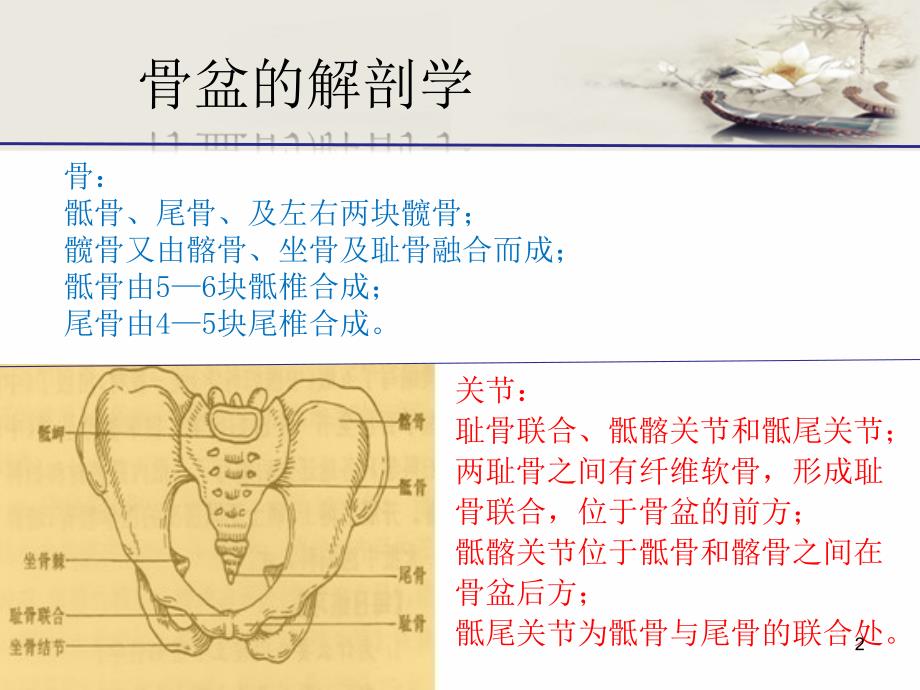 骨盆骨折护理PPT教学课件_第2页