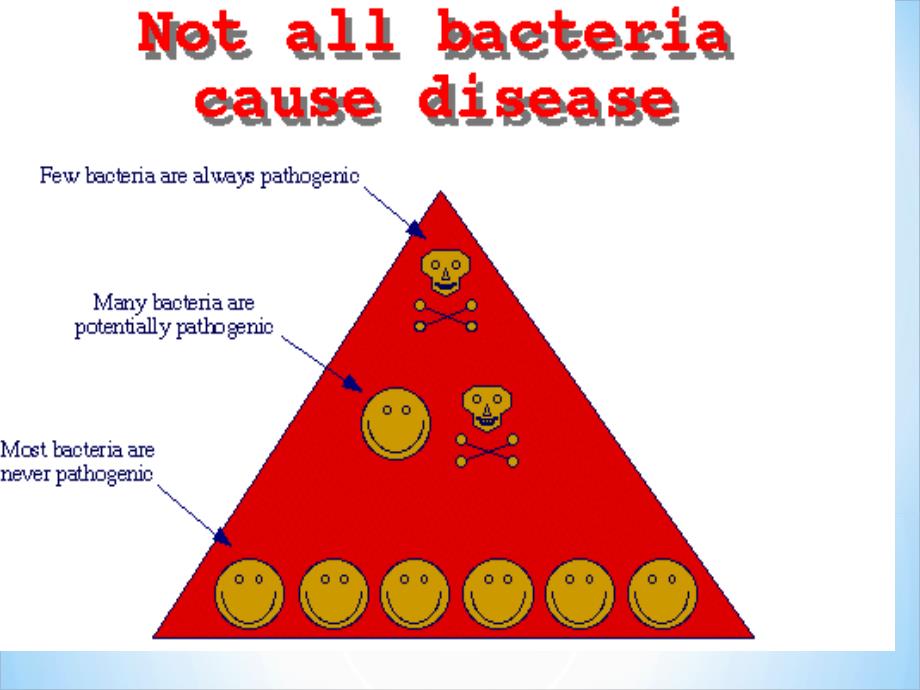医学微生物学(第八版)第六章细菌的感染和免疫课件PPT_第4页