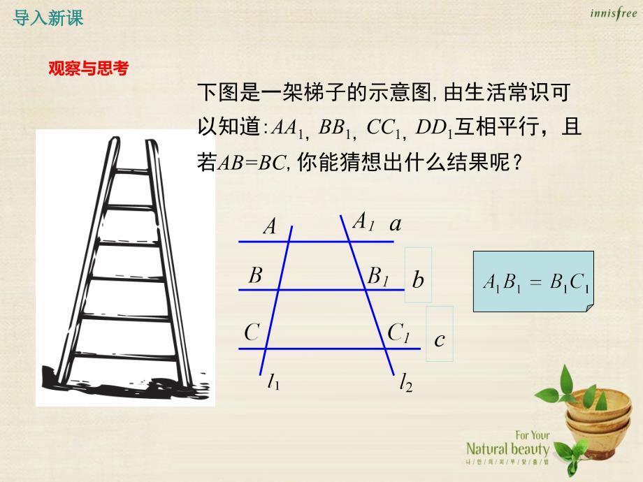 fvdAAA2016年秋九年级数学上册 3.2 平行线分线段成比例课件 （新版）湘教版_第3页