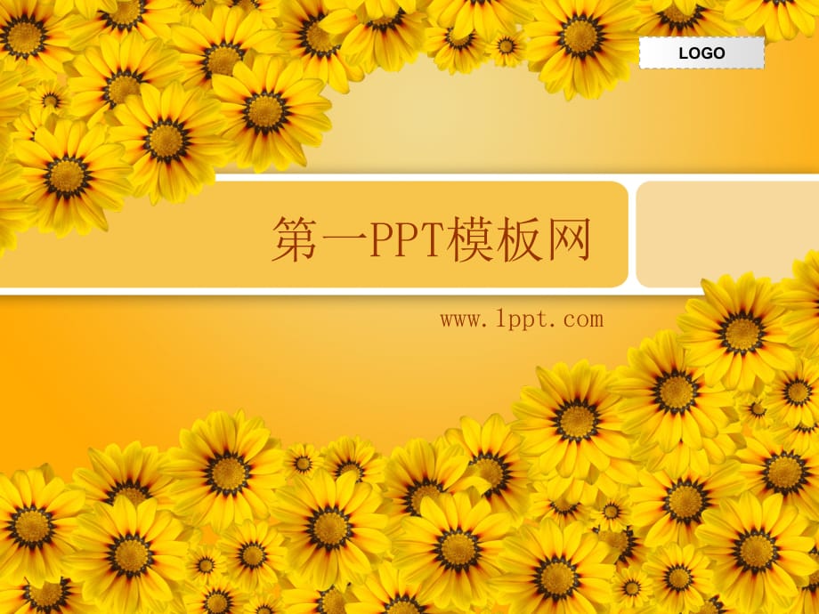 PPT模板 菊花 精品_第1页