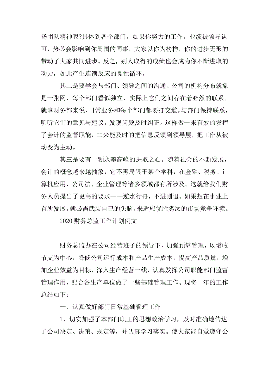 2020财务总监工作计划例文_第3页