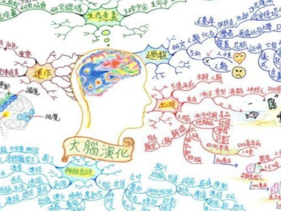 思维导图f教学内容_第3页