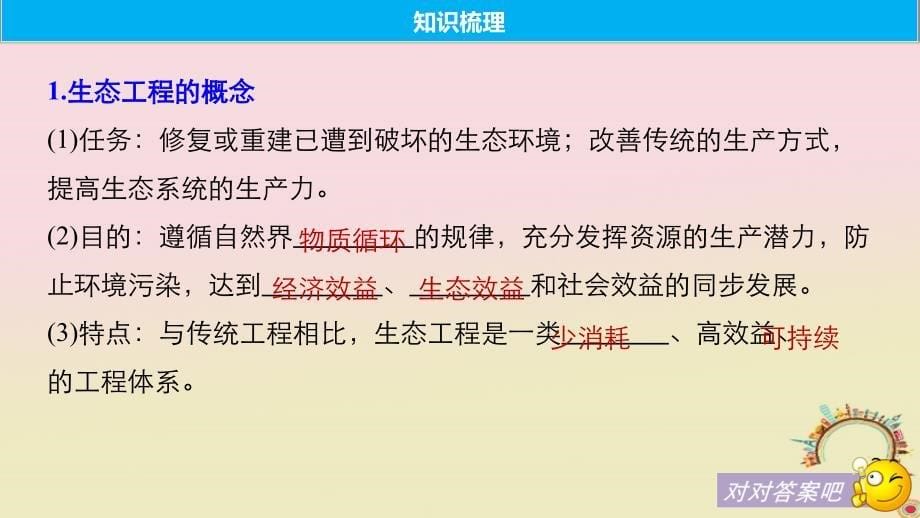 2019届高考生物一轮复习 第十单元 现代生物科技专题 第38讲 生态工程备考一体课件 苏教版_第5页