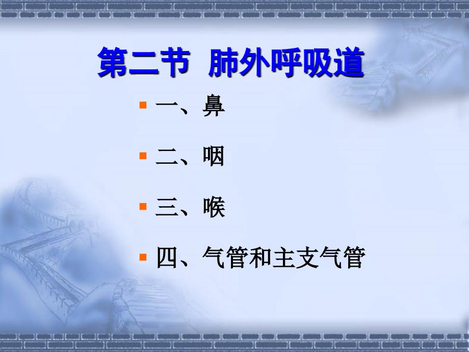 呼吸系统解剖学程课件PPT_第4页