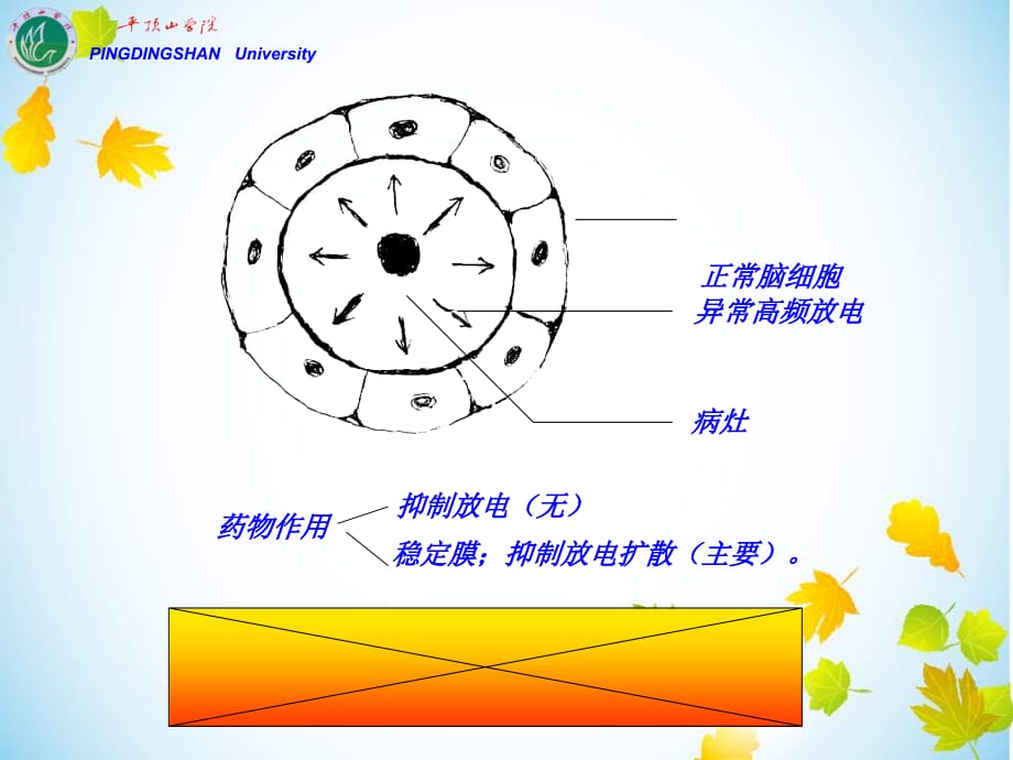 抗癫痫、抗惊厥药课件PPT_第4页