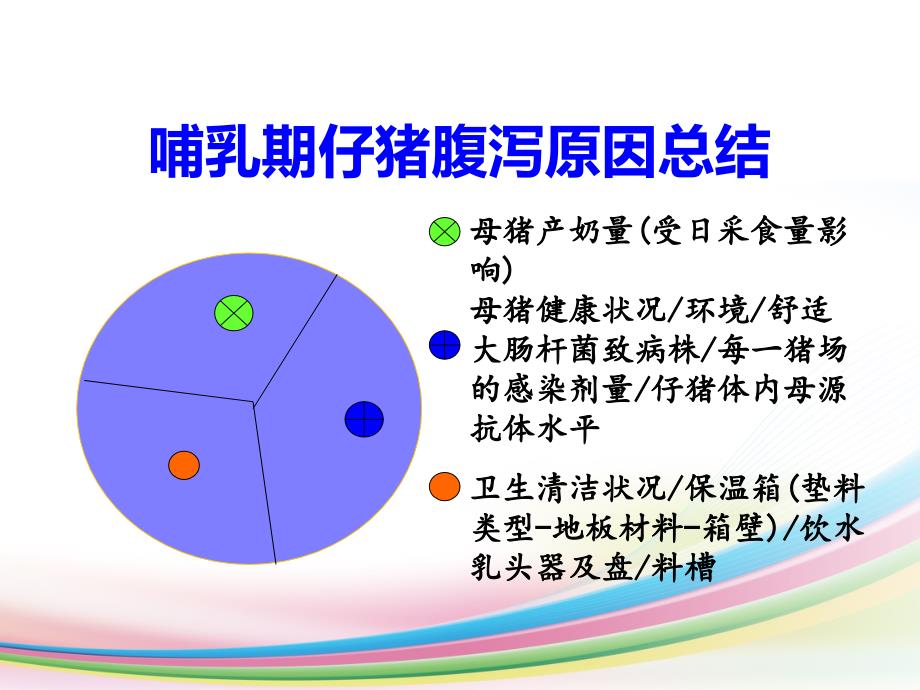 S-N-F仔猪腹泻课件PPT_第4页