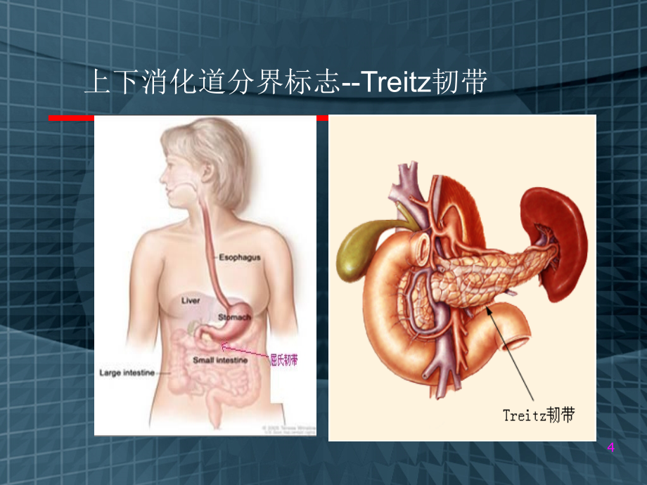 消化道出血护理讲课件PPT_第4页