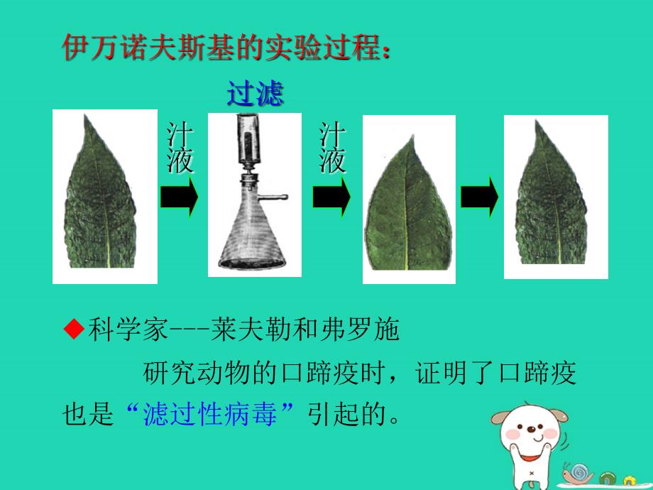 cwzAAA八年级生物上册 5.5《病毒》课件 （新版）新人教版_第3页