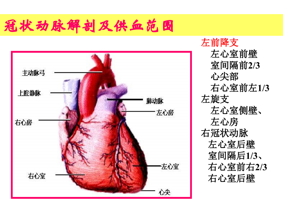 《精编》心血管疾病基础知识概述_第4页