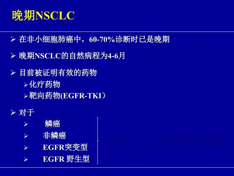 晚期非小细胞肺癌精品医学课件教学内容_第5页