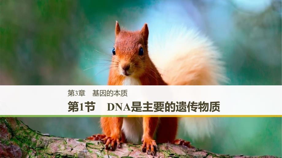 2018-2019学年高中生物 第3章 基因的本质 第1节 DNA是主要的遗传物质课件 新人教版必修2_第1页