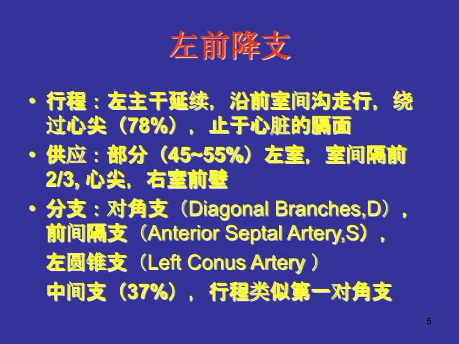 冠状动脉解剖与介入PPT教学课件_第5页