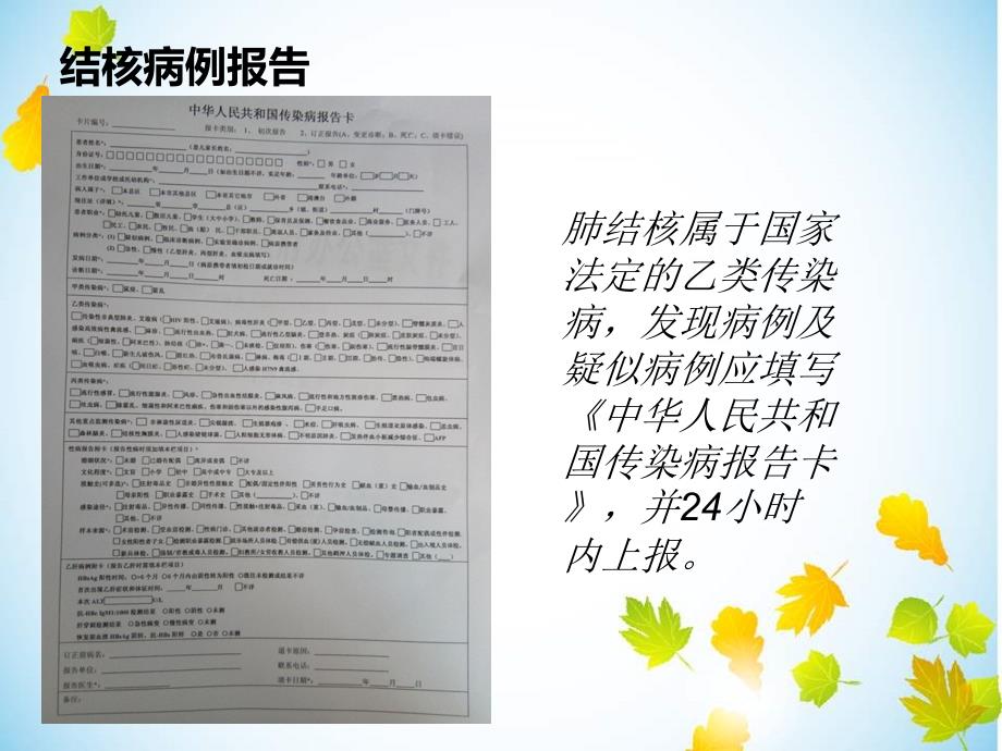 结核病患者健康管理课件PPT_第4页