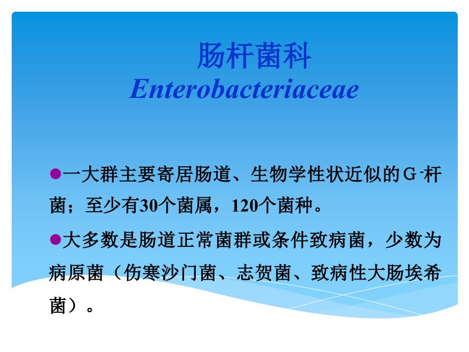 肠道杆菌Enerobaceriaceae课件PPT_第2页