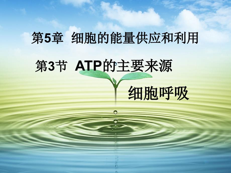 高中生物必修一第五章第三节 ATP的主要来源――细胞呼吸 ppt课件_第1页