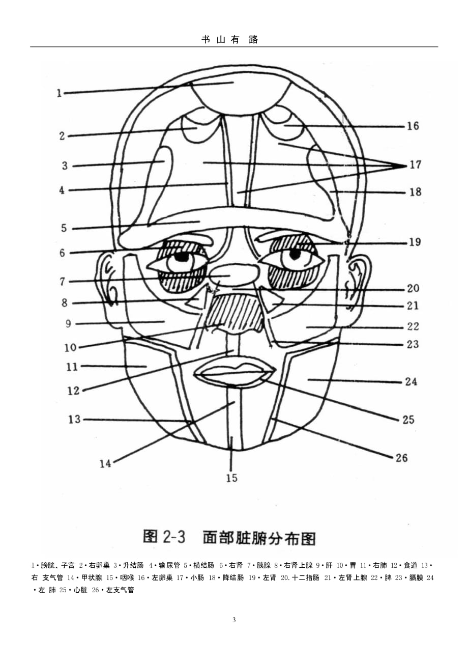 面部脏腑分布.pptx_第3页