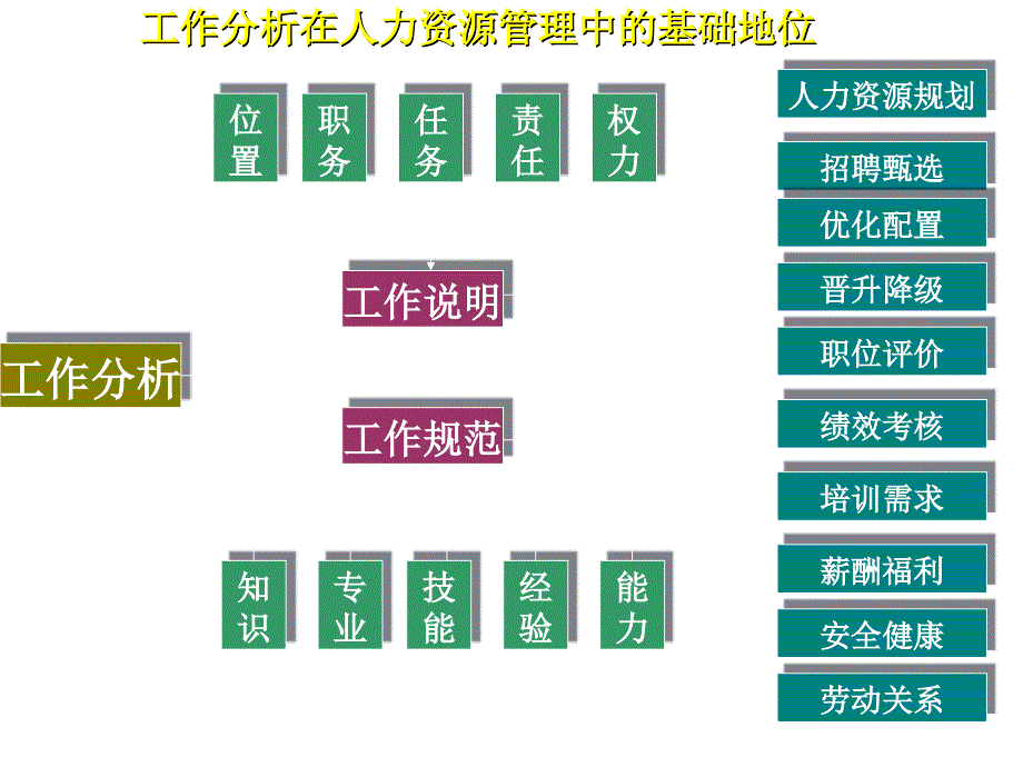 《精编》企业人力资源管理的基石--工作分析_第2页