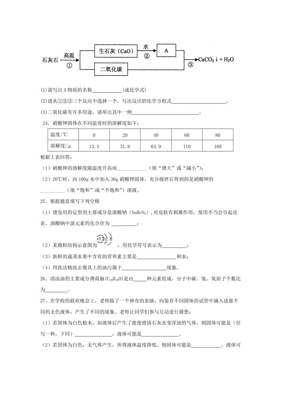 湖南省株洲世纪星实验学校2020届九年级化学下学期第二次月考试题（无答案）_第5页