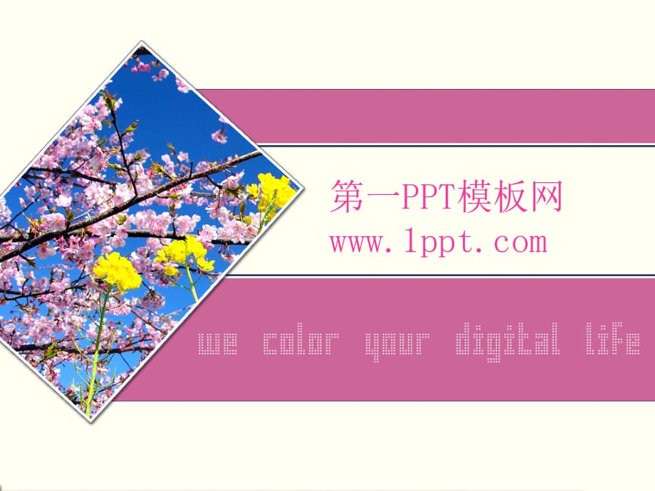 PPT模板 粉色桃花风格PPT模板 精品_第1页