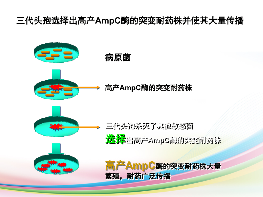 anibioic课件PPT_第3页