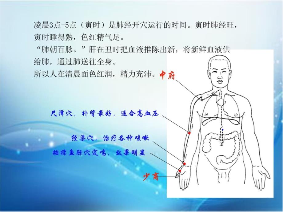 十二经络养生课件备课讲稿_第3页