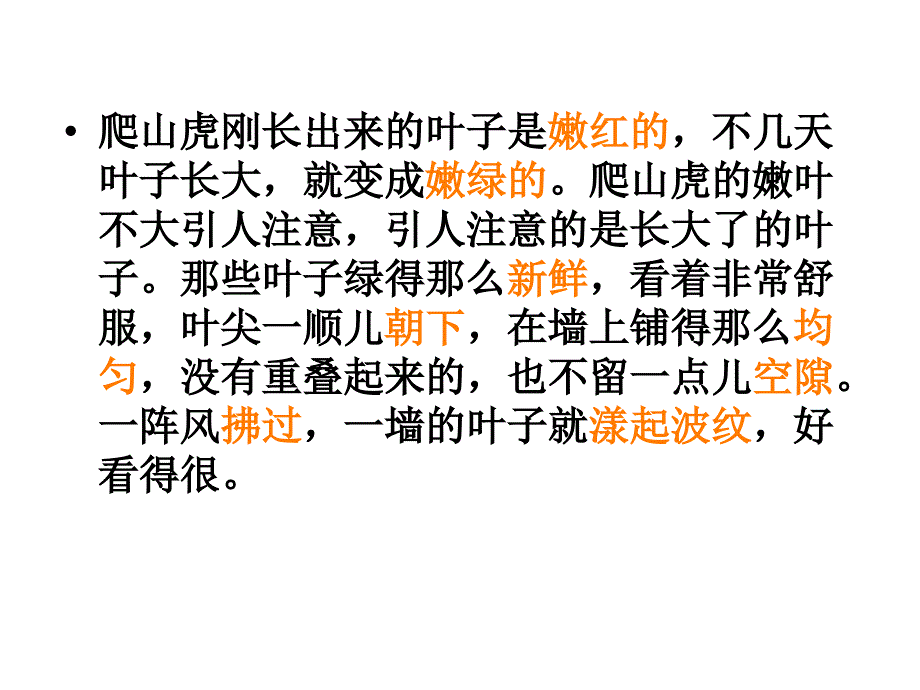 《爬山虎的脚》教学ppt课件_第4页