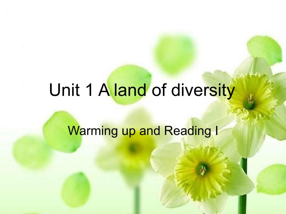 高中英语 Unit1《A land of diversity》课件 Warming up and Reading 新人教版选修_第1页