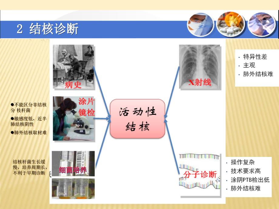 结核感染细胞检测课件PPT_第3页