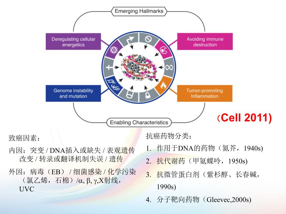 药物化学cha5a_cancer课件PPT_第3页