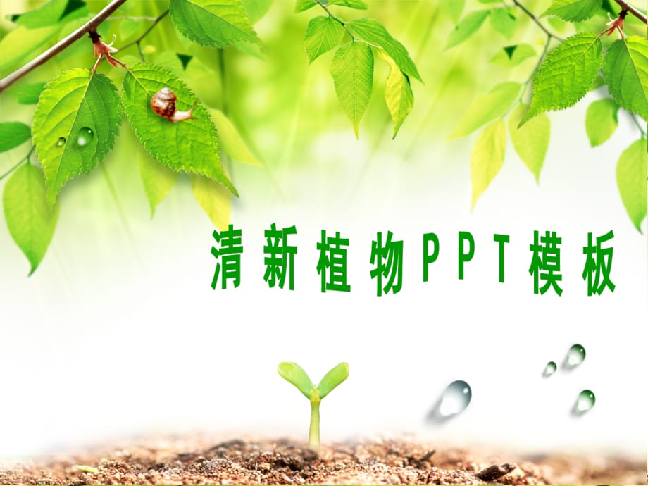 PPT模板 清新植物PPT模板 精品_第1页