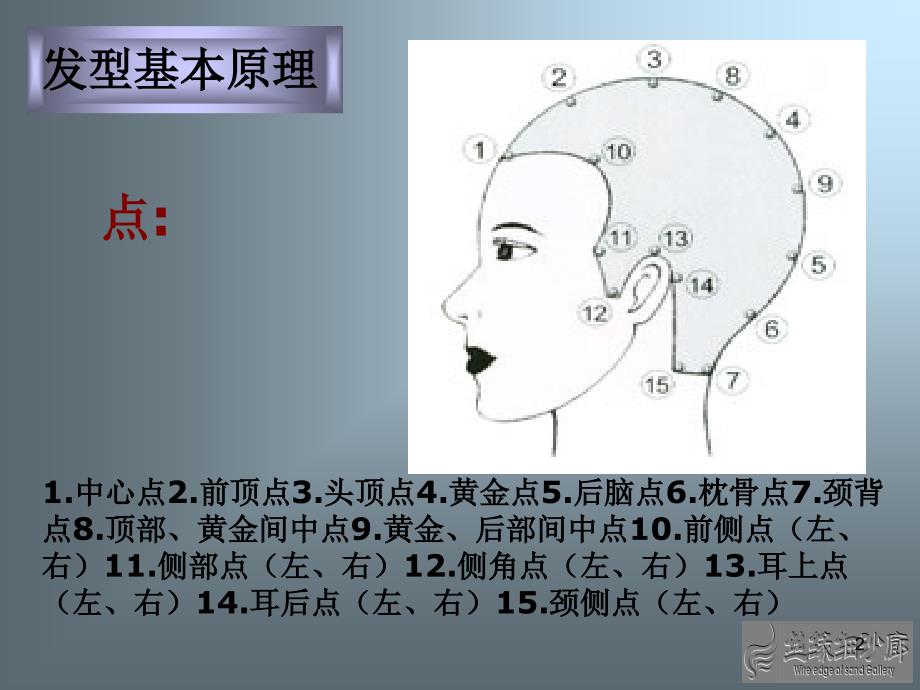 标榜四大基本型PPT幻灯片课件_第2页