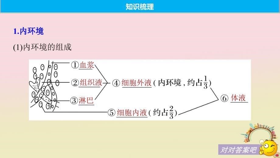 2019届高考生物一轮复习 第八单元 生物个体的稳态 第24讲 稳态与体温调节备考一体课件 苏教版_第5页