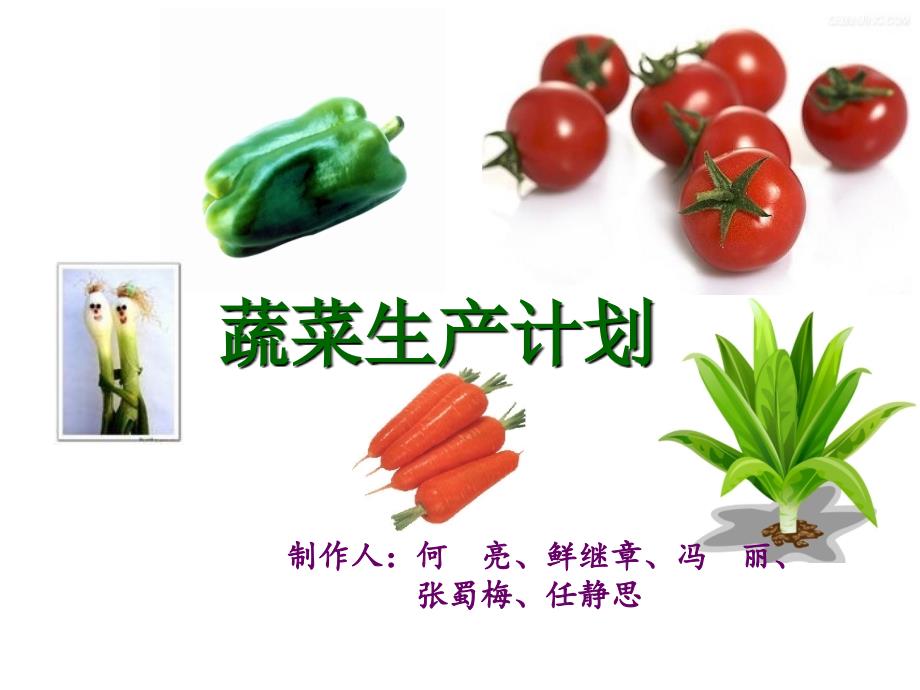 《精编》浅述蔬菜生产计划_第1页
