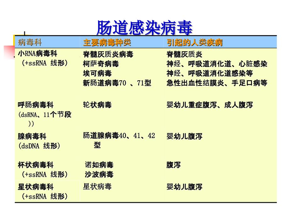 肠道、急性胃肠炎病毒课件PPT_第2页