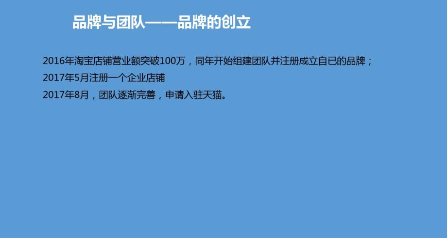 成功入驻天猫品牌运营计划书演示教学 精选_第3页