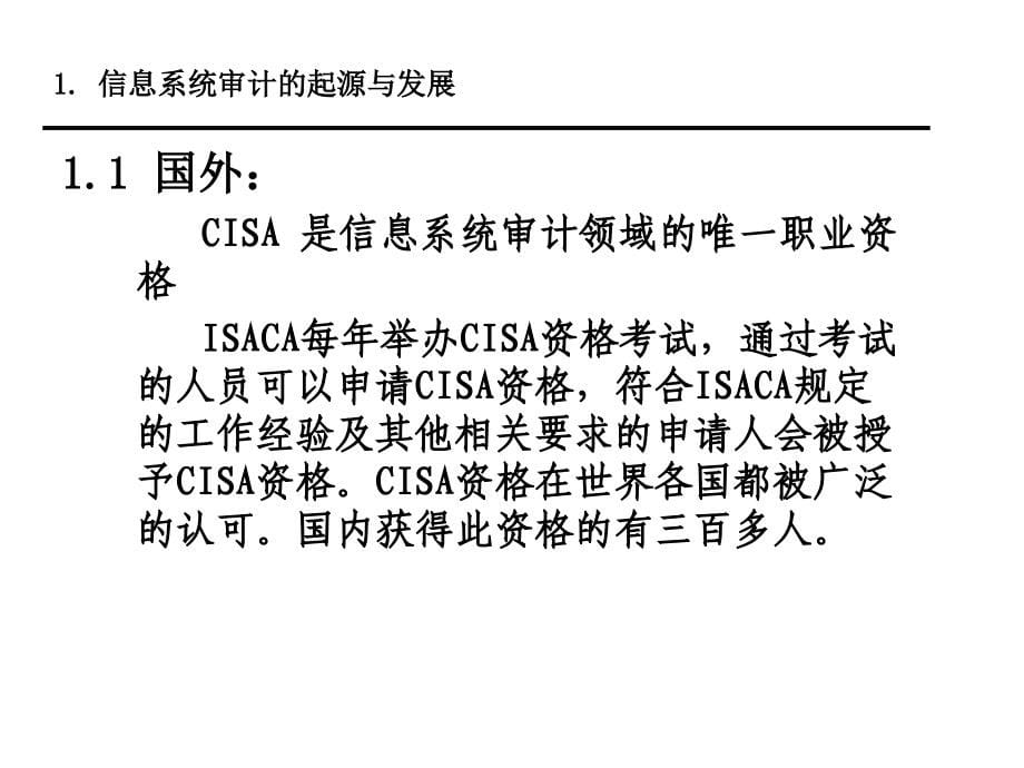 《精编》试论信息技术环境下的内部审计_第5页