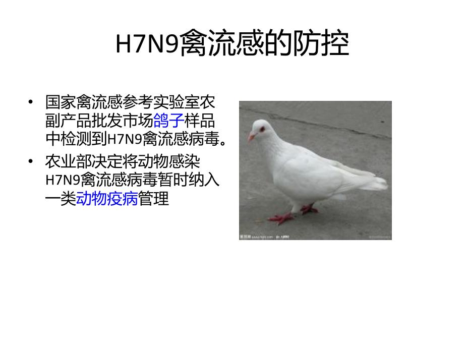H7N9禽流感防治课件PPT_第4页
