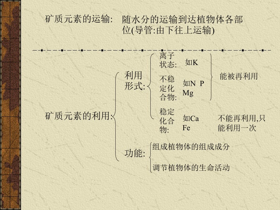 高三 植物的矿质营养_第4页