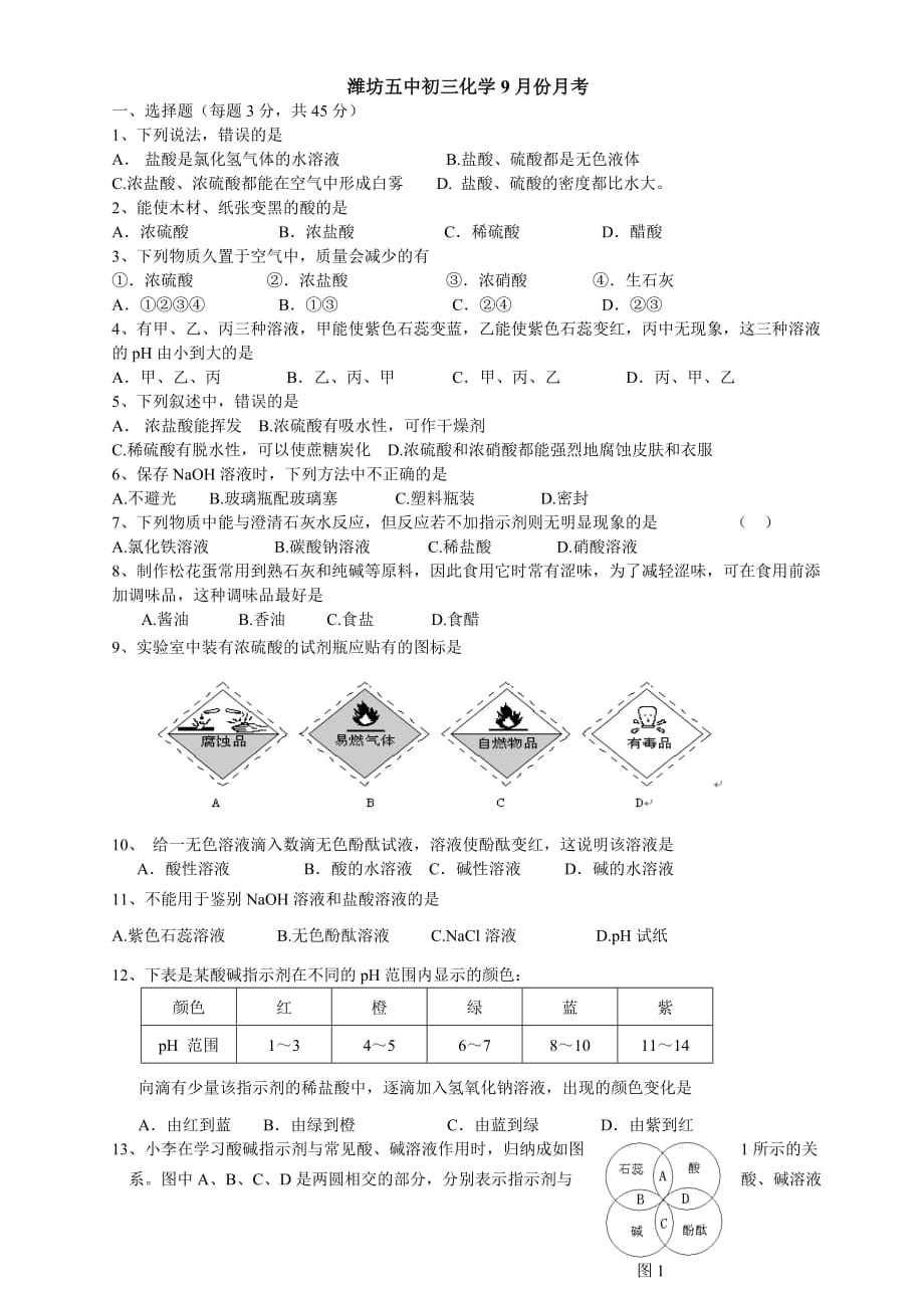 潍坊五中初三化学9月份月考_第1页