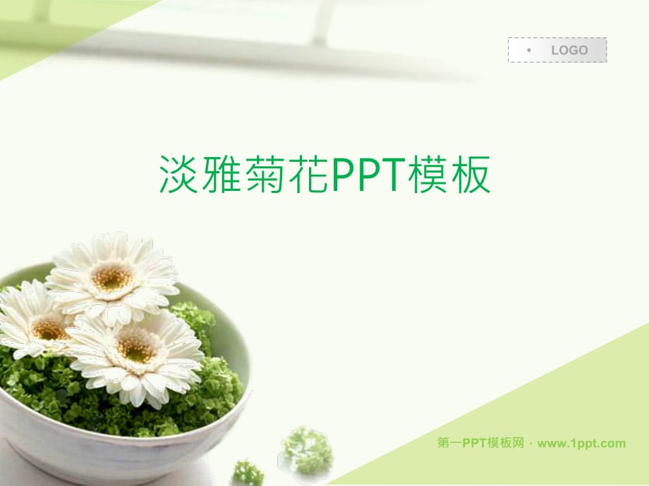 PPT模板 淡雅菊花 精品_第1页