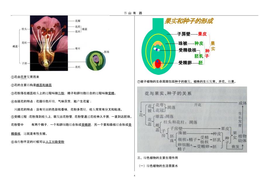 六年级下册生物复习提纲（5.28）.pptx_第4页