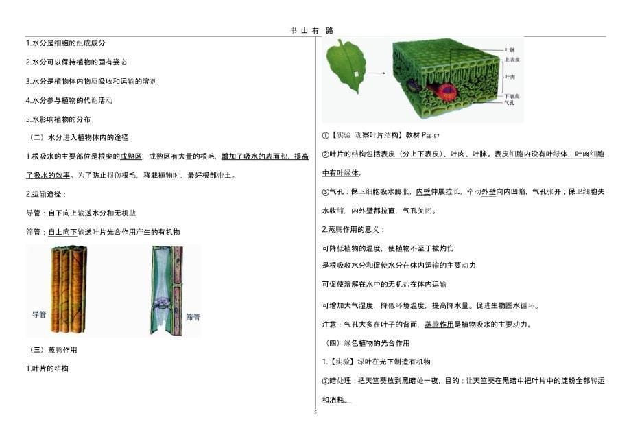 六年级下册生物复习提纲（5.28）.pptx_第5页