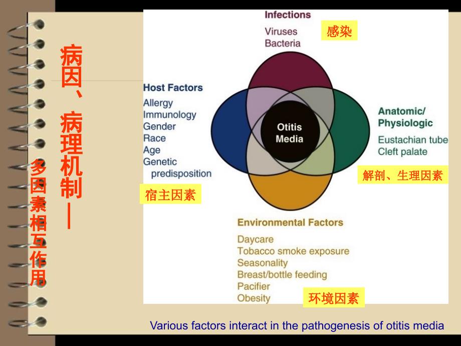 儿童分泌性中耳炎诊治课件PPT_第4页