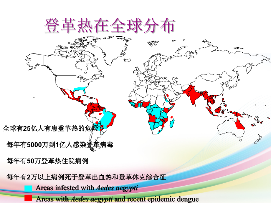 登革热诊治课件PPT_第4页