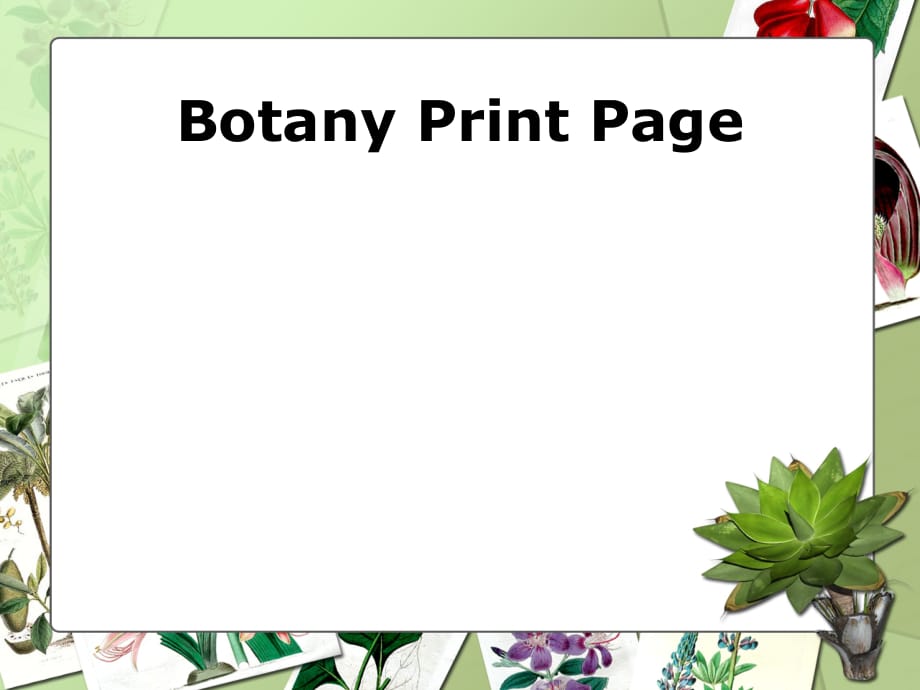 PPT模板 Botany Presentation 精品_第3页