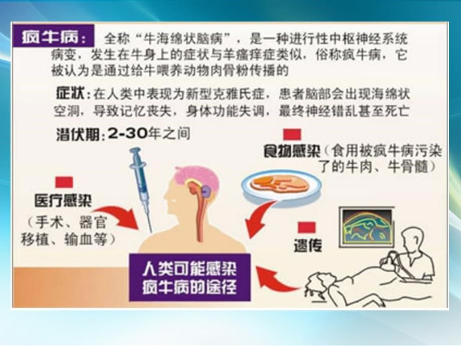 食品营养与卫生第六章课件PPT_第5页