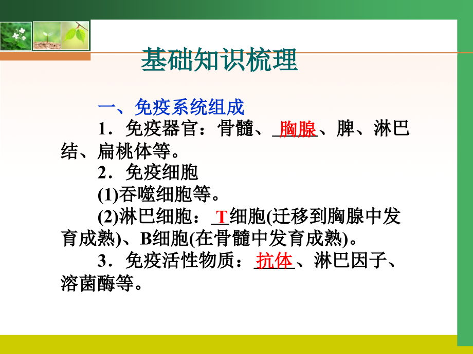 高考生物一轮复习精美：必修 第二章 节_第2页