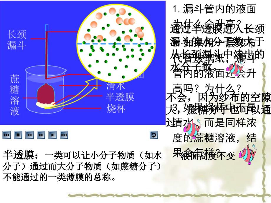 物质跨膜运输的实例课件(含动画)教学内容_第4页