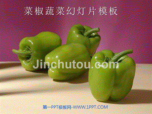 PPT模板 辣椒PPT模板 精品